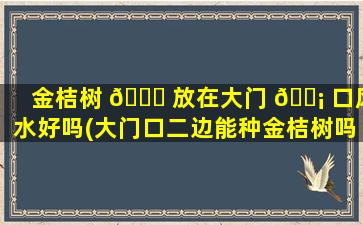 金桔树 💐 放在大门 🐡 口风水好吗(大门口二边能种金桔树吗)